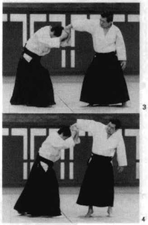 Daitoryu photo 305