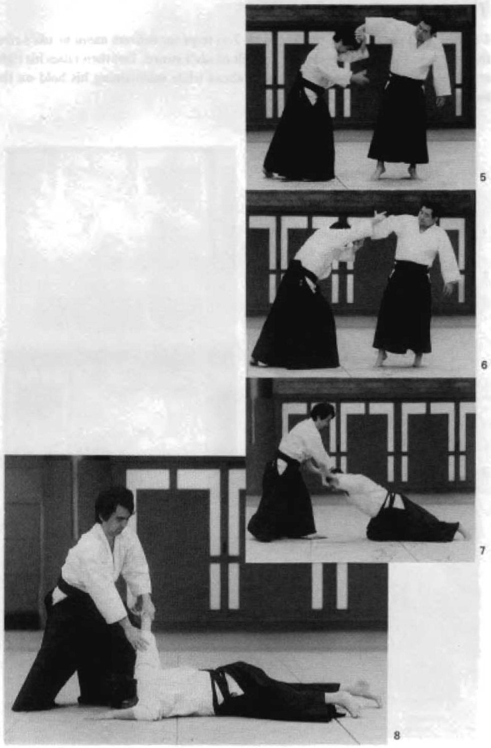 Daitoryu photo 306