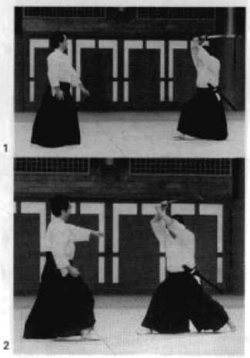 Daitoryu photo 307