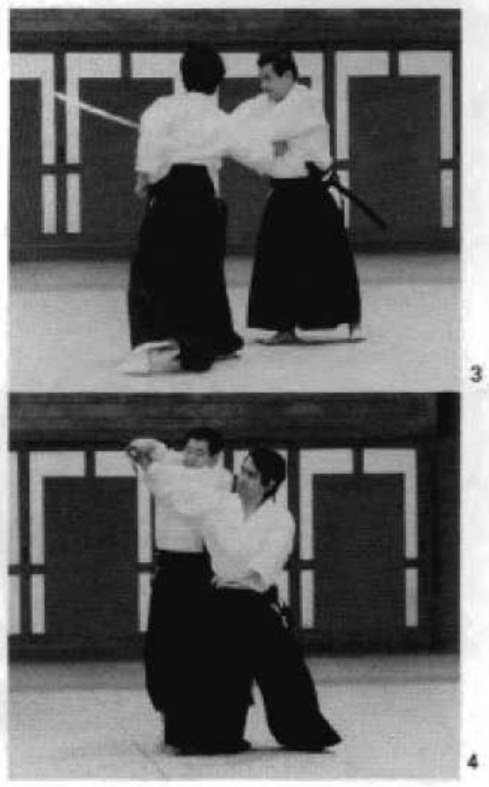 Daitoryu photo 308
