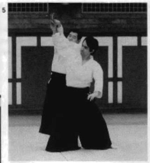 Daitoryu photo 309
