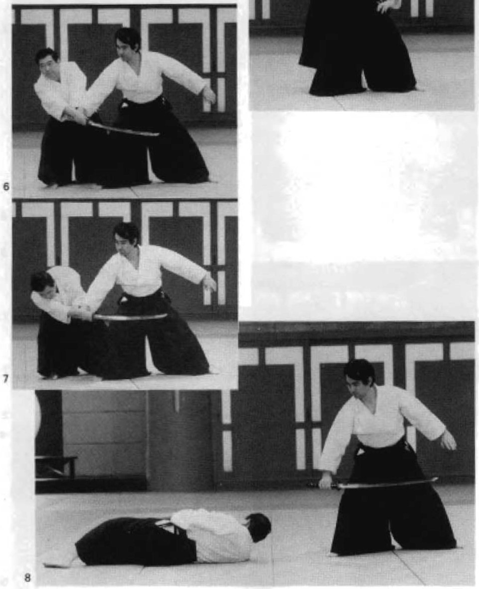 Daitoryu photo 310