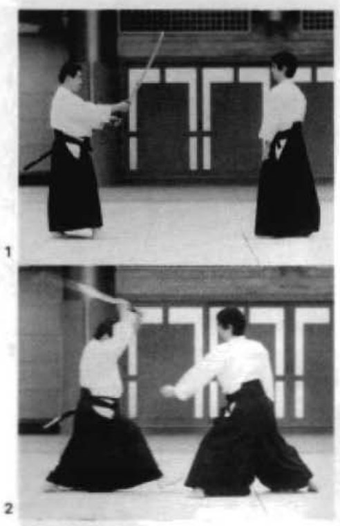 Daitoryu photo 311