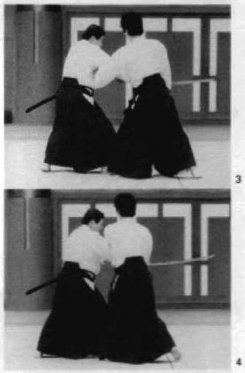 Daitoryu photo 312