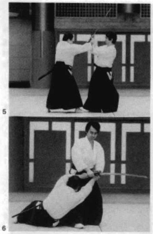 Daitoryu photo 313