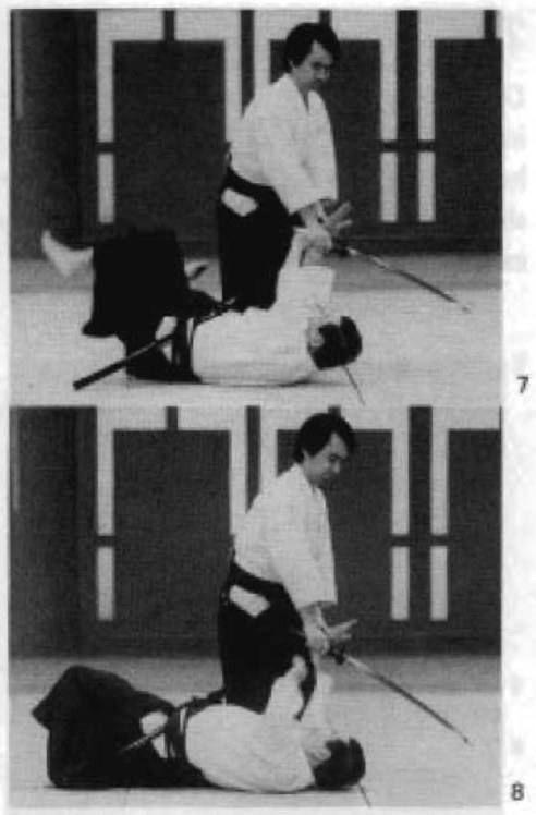 Daitoryu photo 314