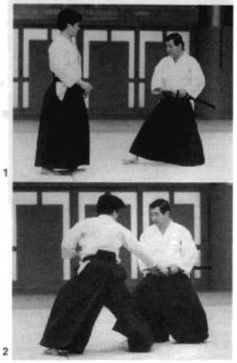 Daitoryu photo 321