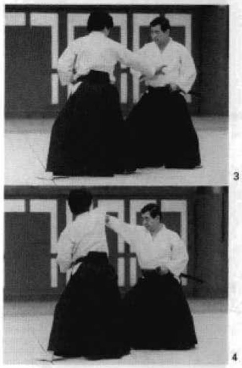 Daitoryu photo 322