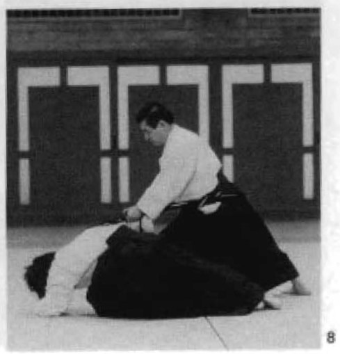 Daitoryu photo 325