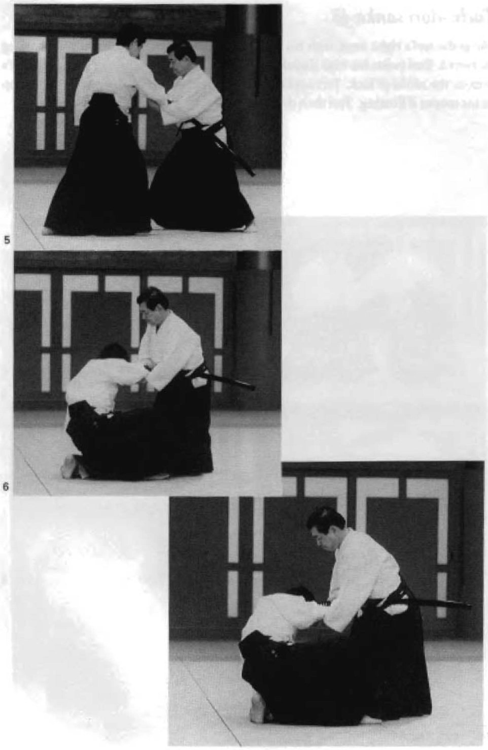 Daitoryu photo 328