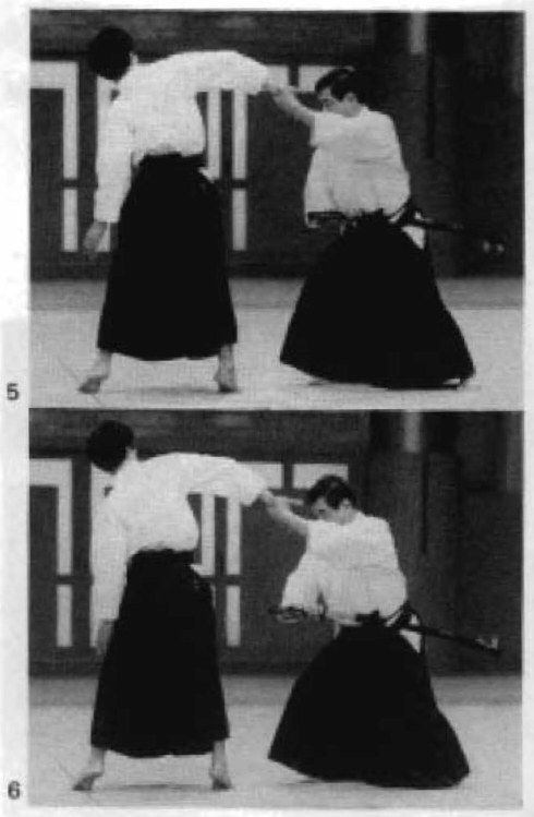 Daitoryu photo 331