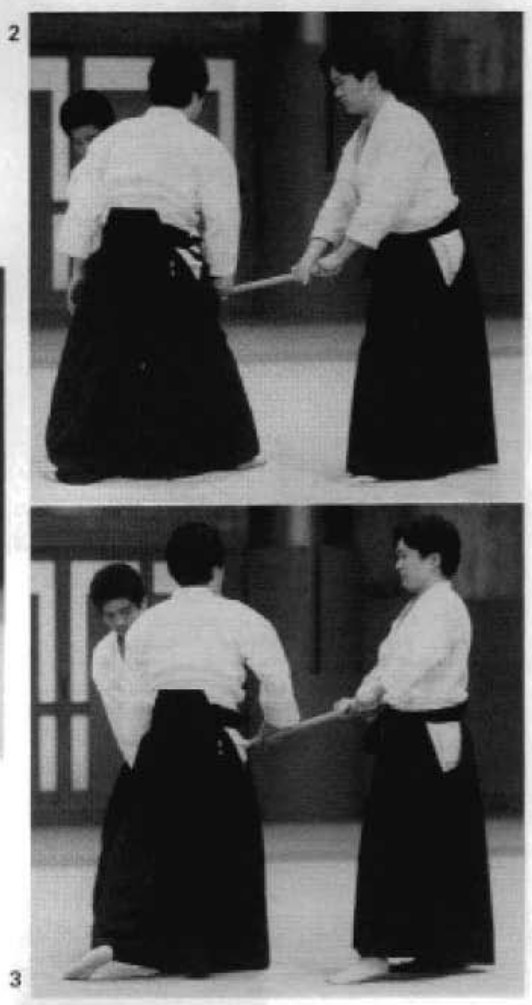 Daitoryu photo 333