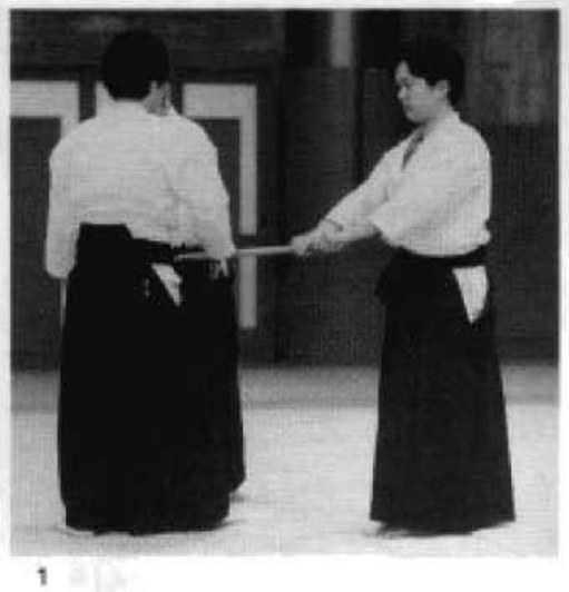 Daitoryu photo 334