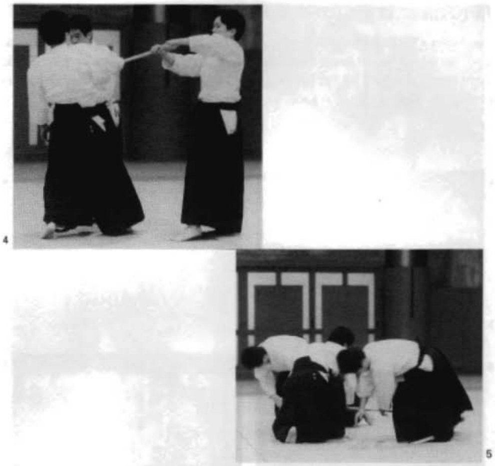 Daitoryu photo 335