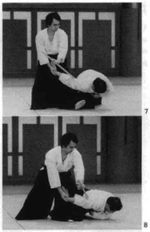 Daitoryu photo 339