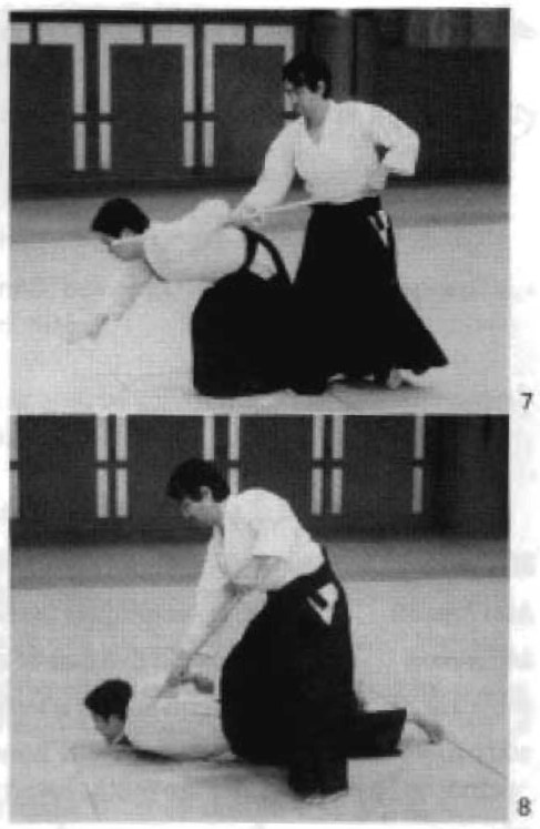 Daitoryu photo 344