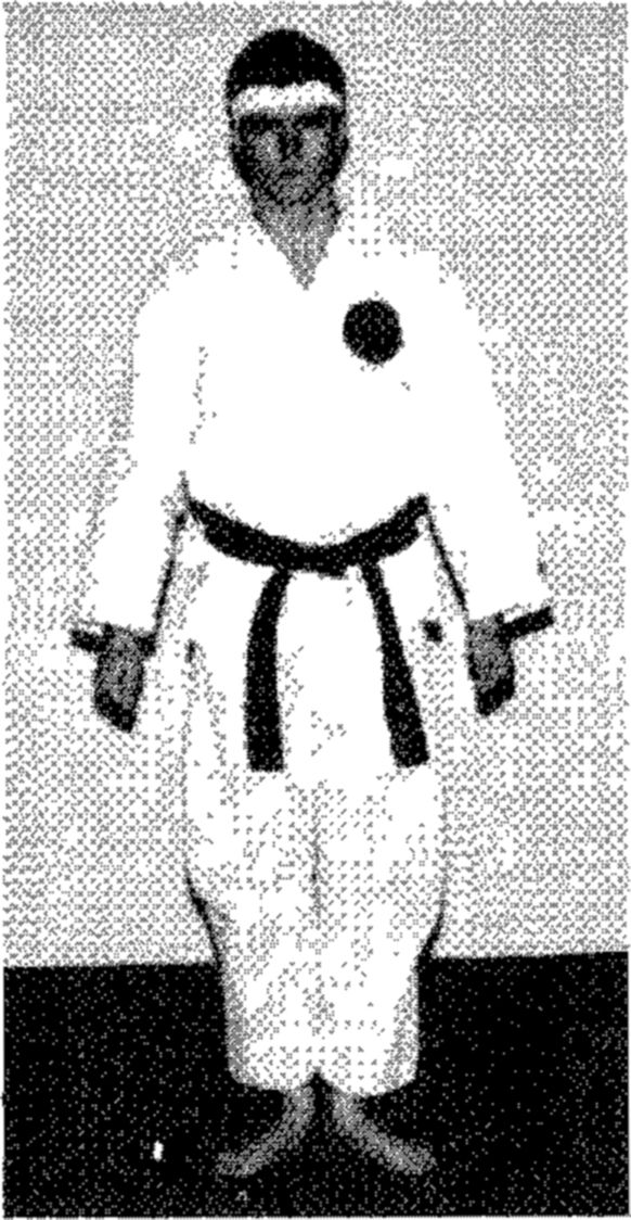 Hakkoryu photo 2