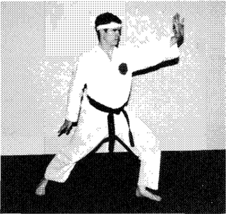 Hakkoryu photo 5