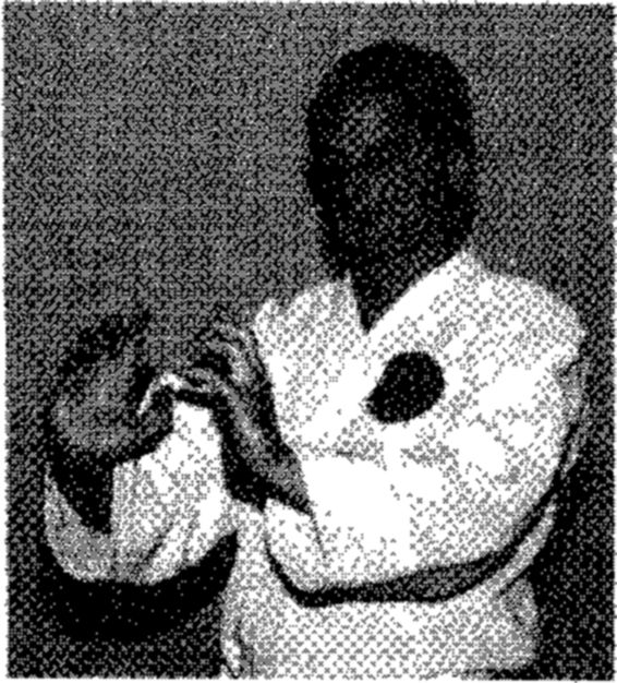 Hakkoryu photo 26