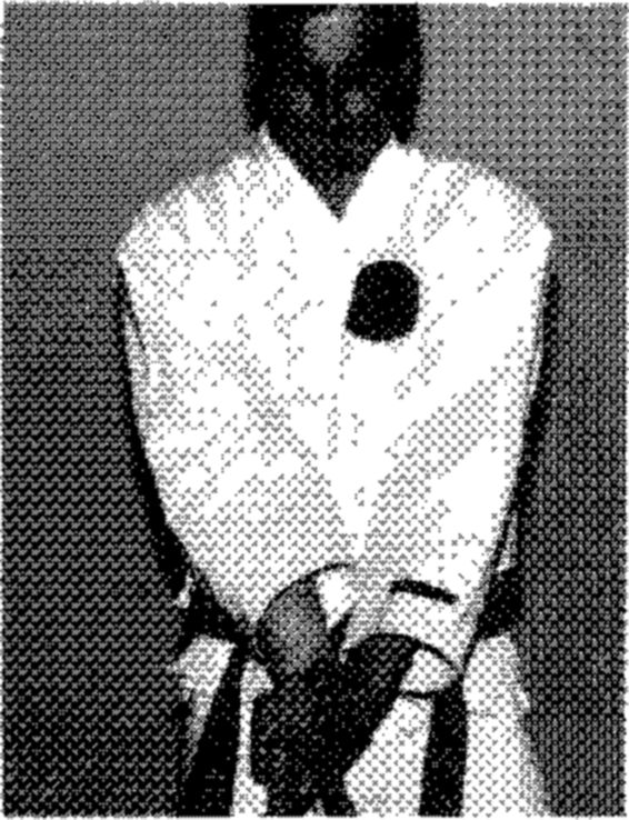 Hakkoryu photo 30