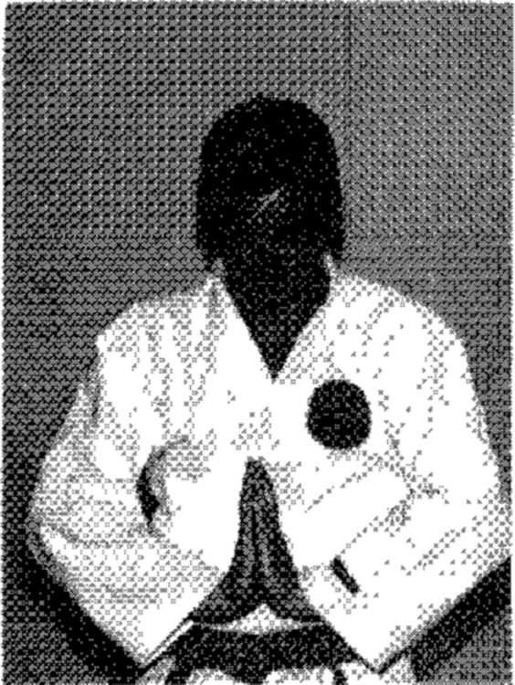 Hakkoryu photo 32
