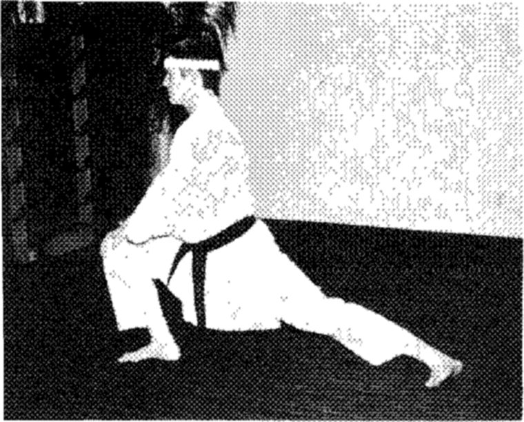 Hakkoryu photo 38