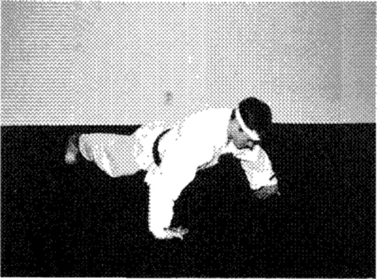 Hakkoryu photo 39