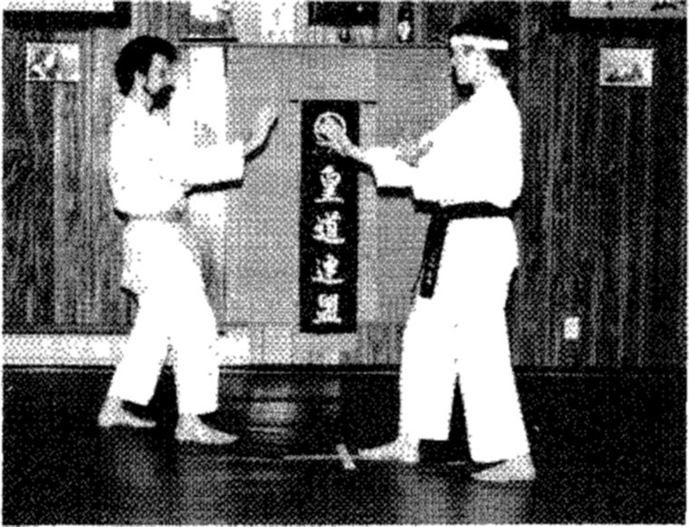 Hakkoryu photo 46