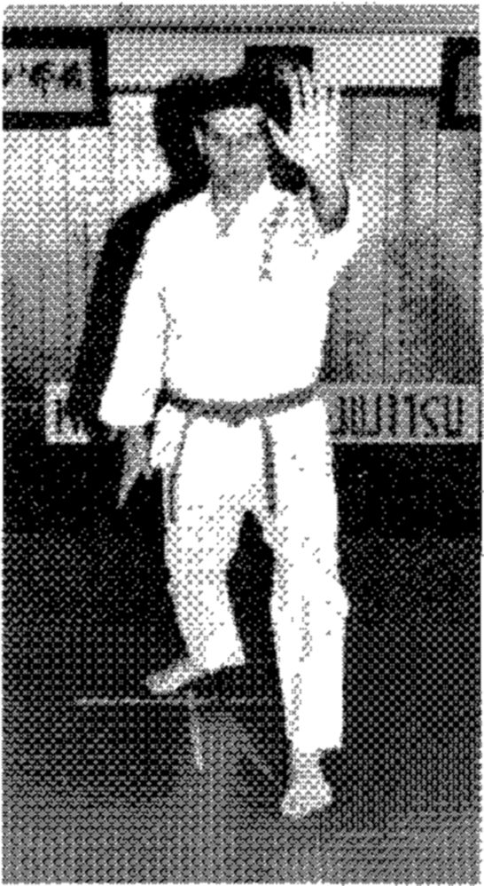 Hakkoryu photo 49