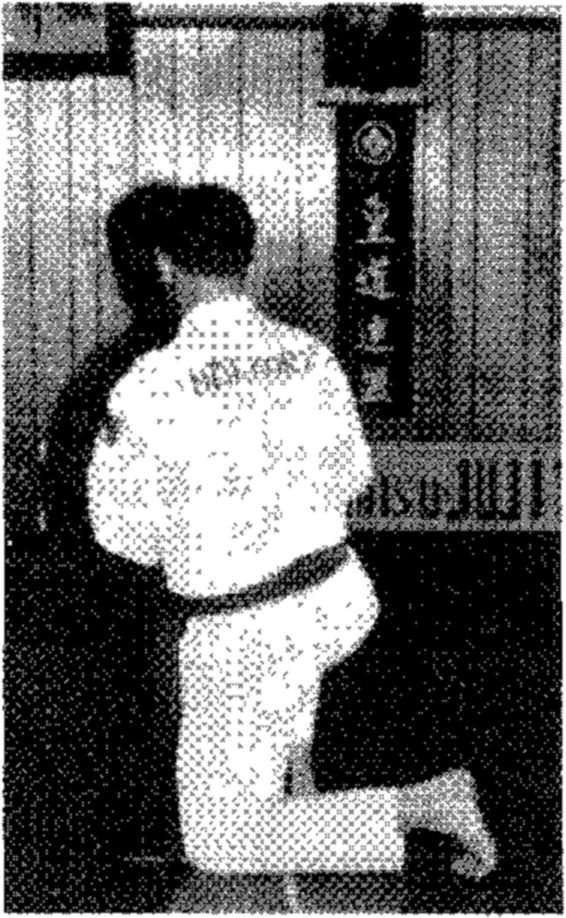 Hakkoryu photo 63