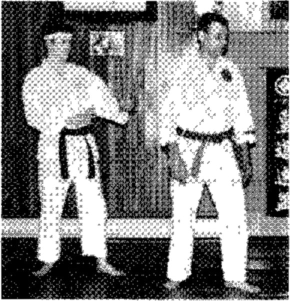Hakkoryu photo 67