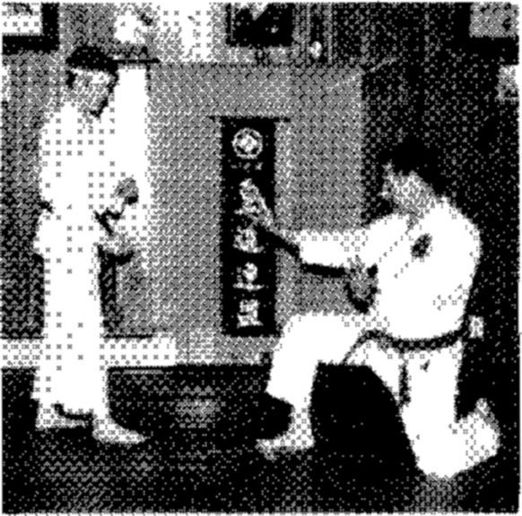 Hakkoryu photo 69