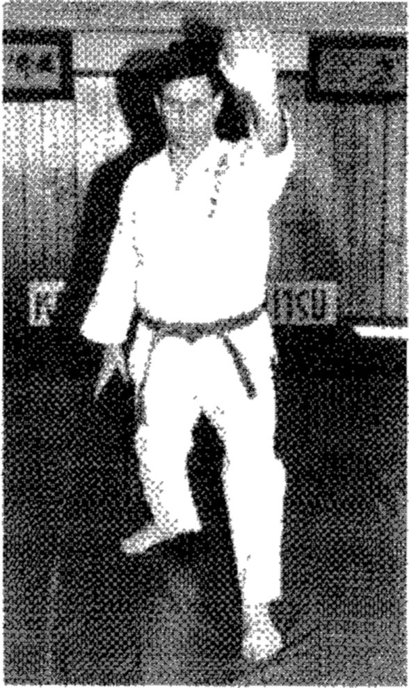 Hakkoryu photo 75