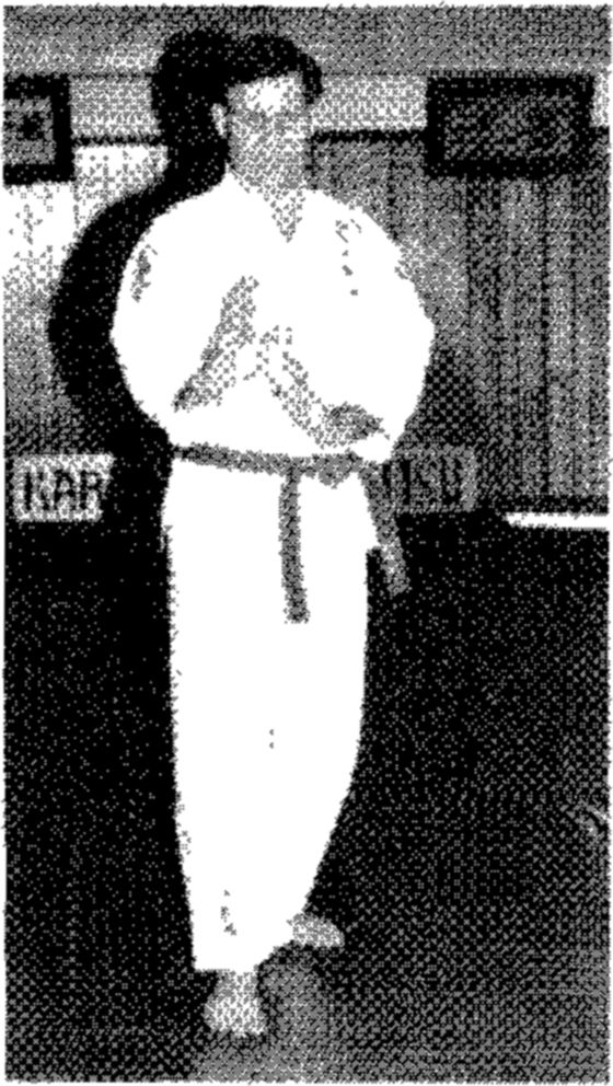 Hakkoryu photo 76