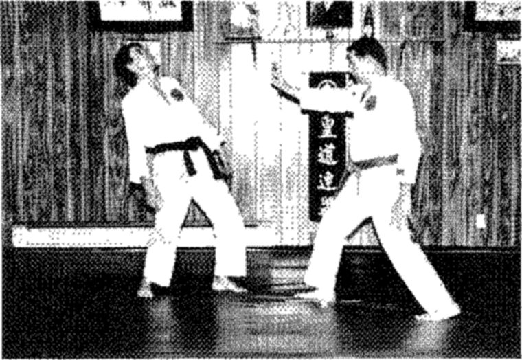 Hakkoryu photo 77