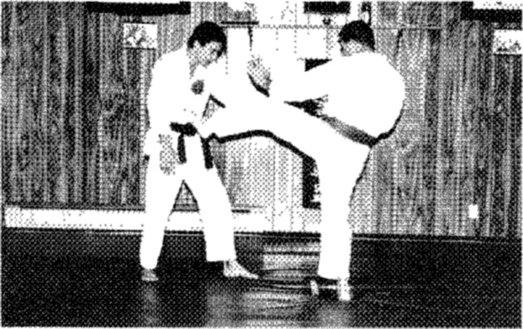 Hakkoryu photo 79