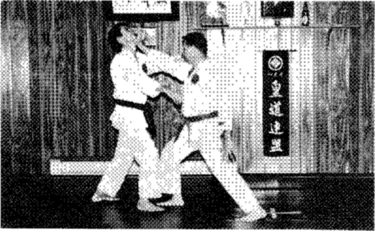 Hakkoryu photo 80