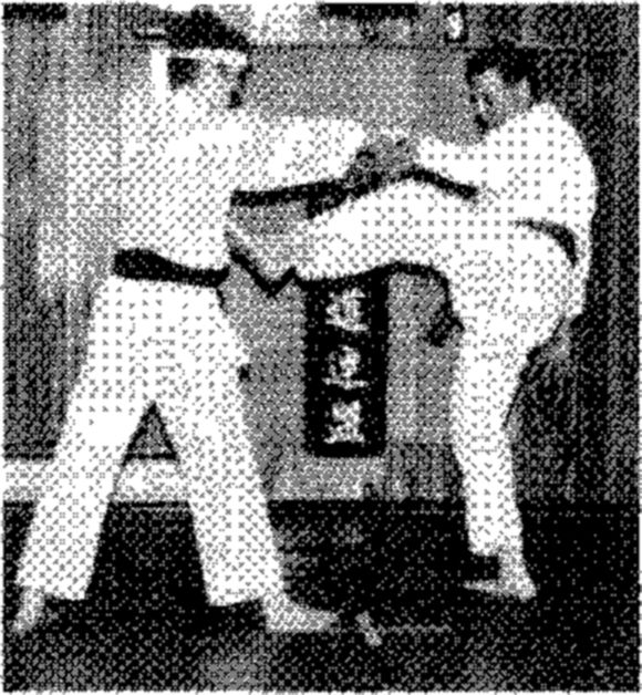 Hakkoryu photo 91