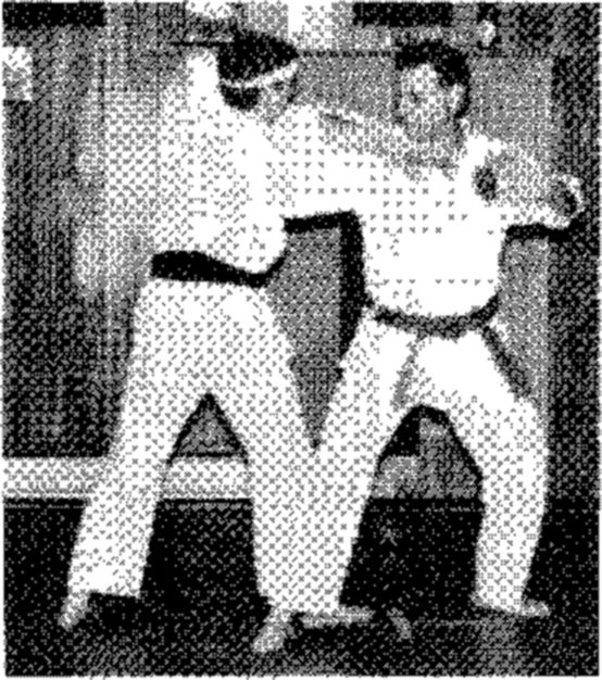 Hakkoryu photo 90