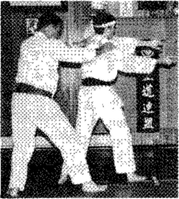 Hakkoryu photo 89