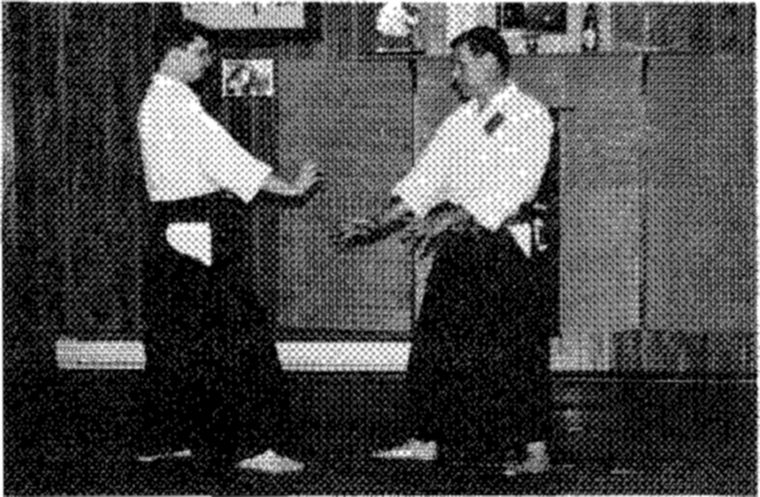 Hakkoryu photo 93