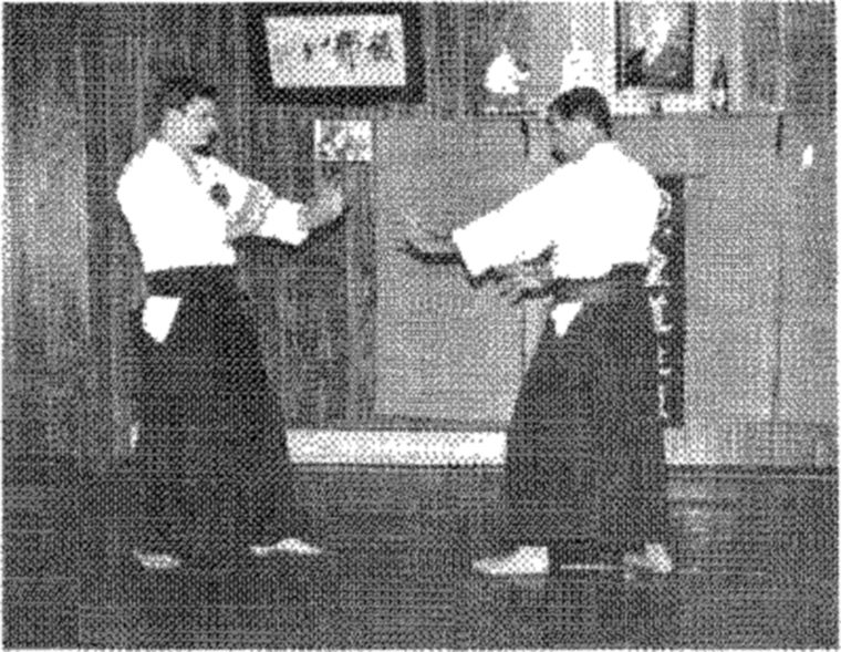 Hakkoryu photo 96
