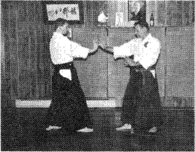 Hakkoryu photo 97