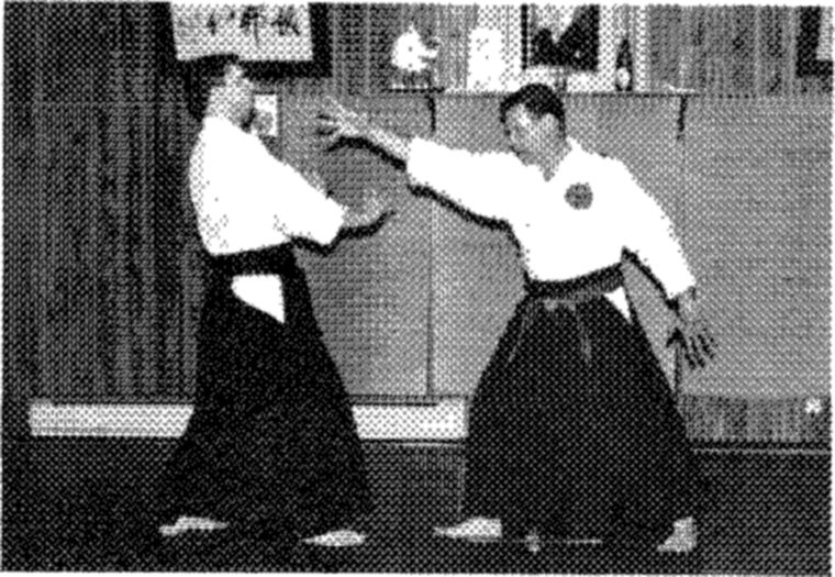 Hakkoryu photo 98