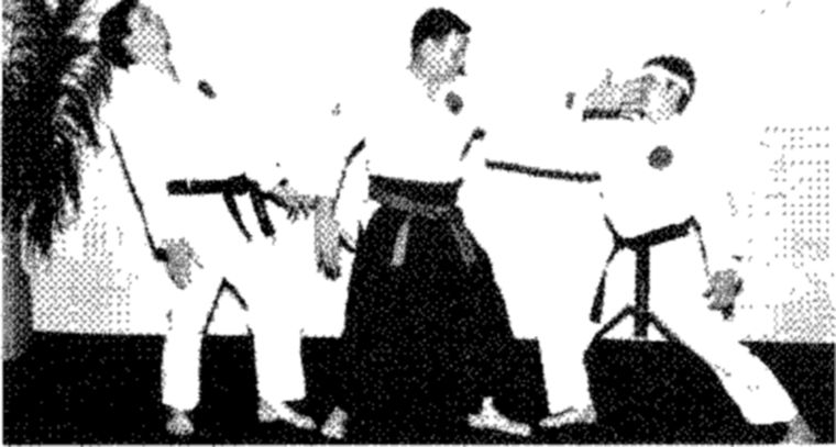 Hakkoryu photo 101