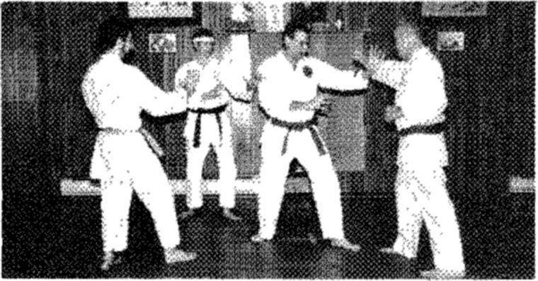 Hakkoryu photo 103