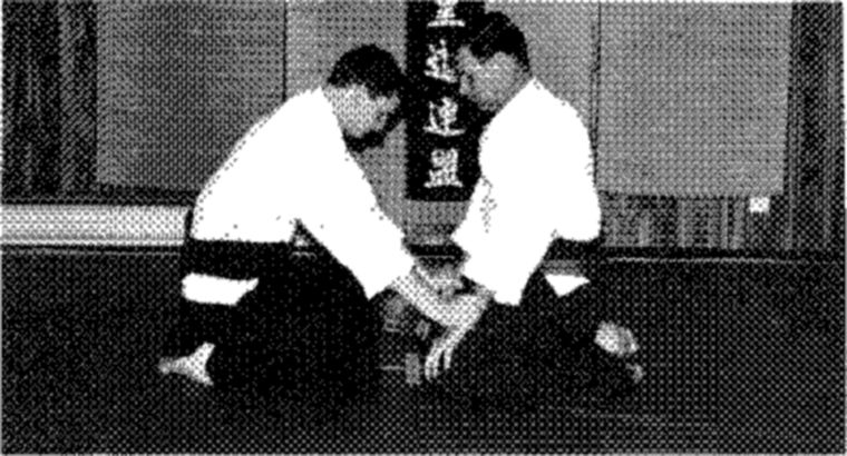 Hakkoryu photo 105