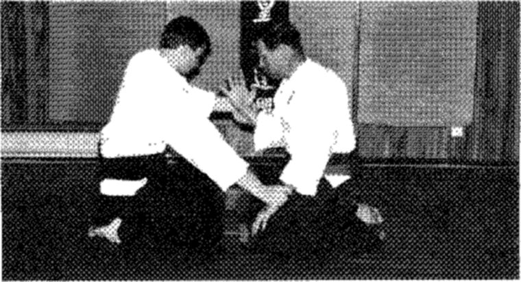 Hakkoryu photo 106