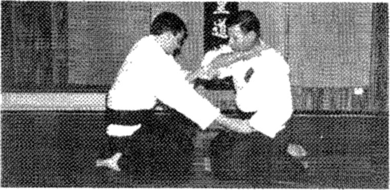 Hakkoryu photo 110