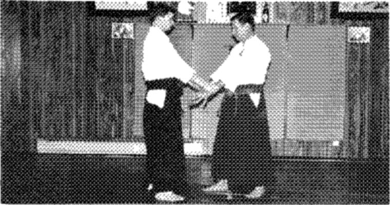 Hakkoryu photo 112